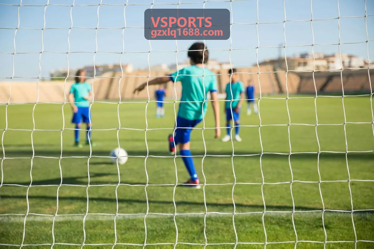 VSPORTS 效能对比图表